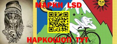 стаф Донецк