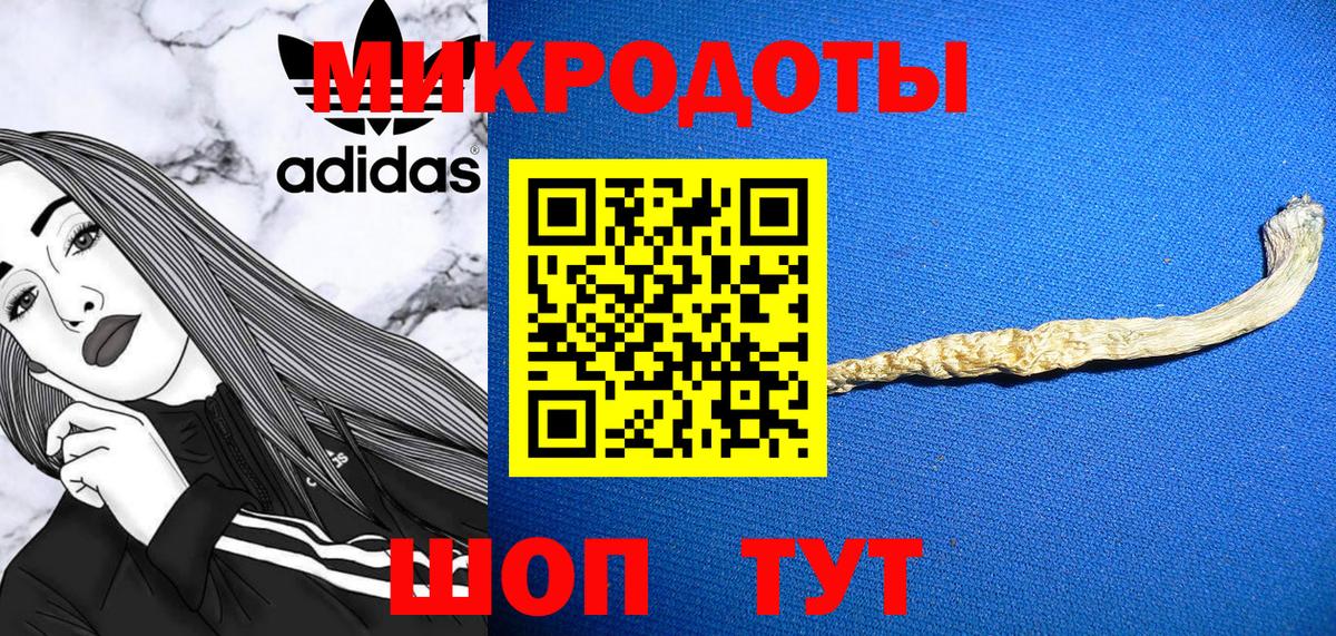 хочу   Вход с VPN  Нижнекамск  Галлюциногенные грибы Psilocybe 